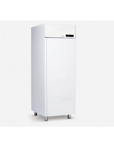 Congelatore Professionale HHQ 8682W Frigolab